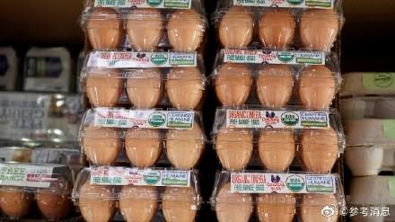 美国鸡蛋价格飙升致民众走私入境