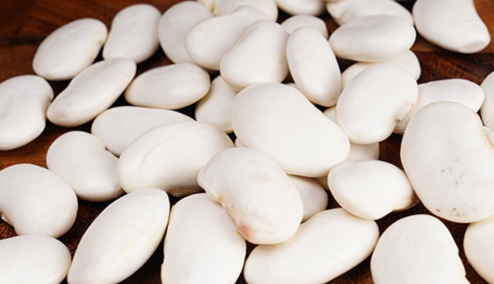 白芸豆真的可以减肥吗