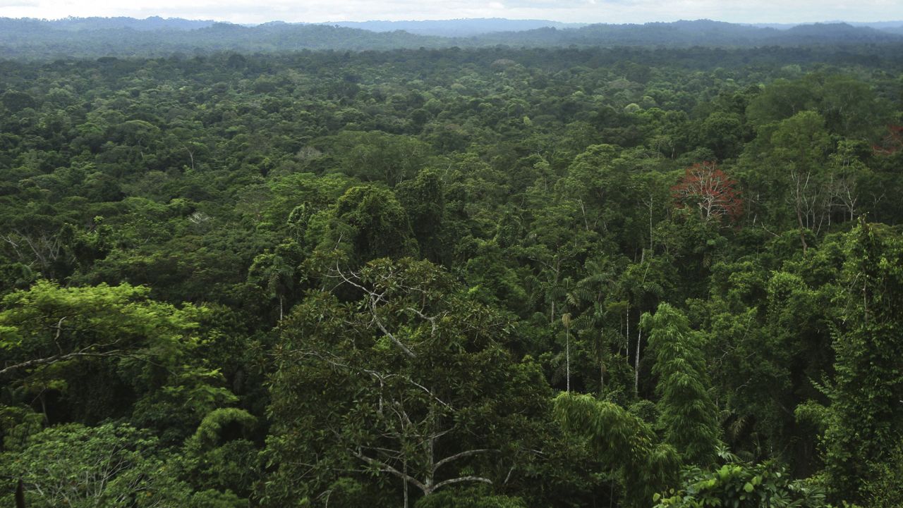 他们在亚马逊雨林中发现了一个巨大的古城网络