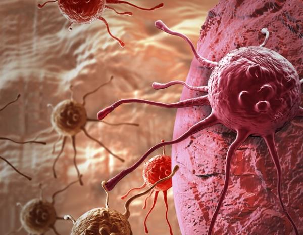 FAU的一项新研究揭示了炎症和癌症之间的联系