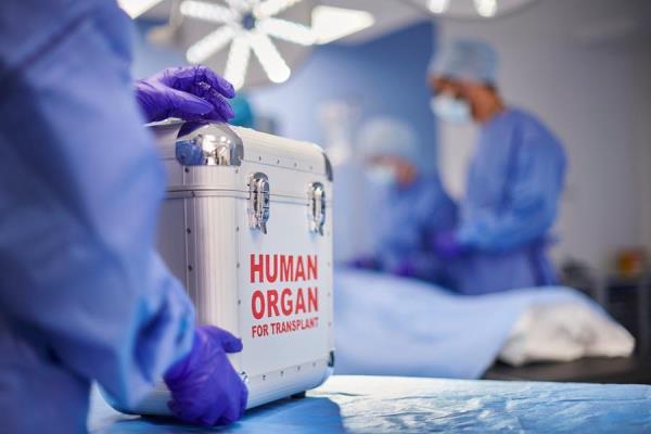 迪拜首例肝脏移植手术挽救了一名38岁女子的生命