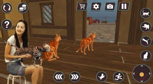 猫咪格斗战争模拟器游戏